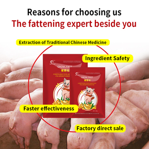 Stimolatore di Crescita Rapida PIig con Aminoacidi di Grado Alimentare, Bacillus Subtilis, Vitamine e Premiscela per Ingrassamento Veloce 500g - Product Image 4