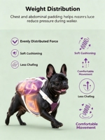 Sac à dos de voyage pour chien de taille moyenne, résistant à l'eau, durable, respirant, en maille, réglable, lavable, avec anneau en D pour le transport