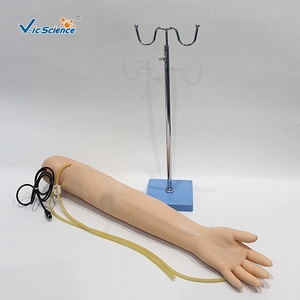 Geavanceerde Arm Bloeddrukmeting Trainingsmodel Voor Medische Wetenschap - Product Image 1