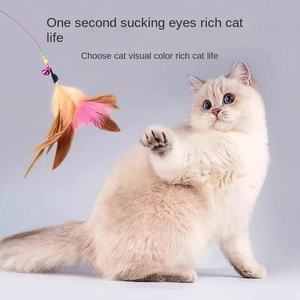 Jouet interactif pour <span class=keywords><strong>chat</strong></span> en plastique écologique <span class=keywords><strong>de</strong></span> haute qualité, vente en gros, avec éléments naturels - Product Image 3