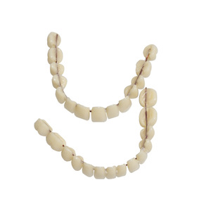 Modèles de dents artificielles en plastique à double rangée, très demandés pour le commerce électronique transfrontalier, équipement d'enseignement et de thérapie bucco-dentaire, accessoire - Product Image 4