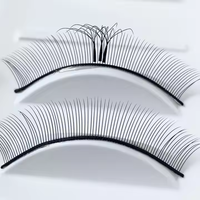 Extensions de cils pré-faites en éventail 6D W, cils trèfle, base plate, naturels, doux, individuels, faciles à poser