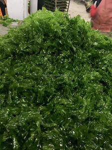 Comida Saludable Green Ulva Lactuca para Sushi <span class=keywords><strong>AOSA</strong></span> - Product Image 4