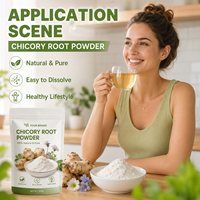 Poudre de racine de chicorée blanche de qualité alimentaire, riche en inuline, probiotiques intestinaux naturels à base de plantes, aliment fonctionnel brut