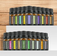 Vente en gros d'huiles essentielles 100% pures pour diffuseurs d'ambiance, en stock, 10 ml, Lavande, Arbre à thé, Eucalyptus, Bois de santal, Clou de girofle, Gingembre, Aromathérapie
