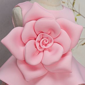 Gaun Bunga Mewah Khusus Warna Pink untuk Ulang Tahun Pertama, Gaun Pesta Tulle Putri dengan Bunga 3D untuk Pemotretan Bayi dan Pertunjukan - Product Image 3