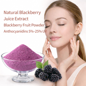 Polvo de Fruta de Mora Liofilizado, Materia Prima Cosmética Antioxidante, Envasado al Vacío, <span class=keywords><strong>Precio</strong></span> de Fábrica, Venta Caliente - Product Image 3