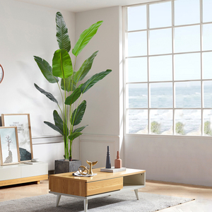 Goedkope decoratieve bonsai reizigerpalmen paradijsvogelpalm kunstplant van plastic te koop - Product Image 4