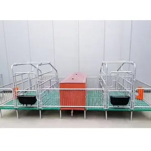 Hot Sale Low Price Pig Pen Commercial Pig Housing Pig Farrowing Crate House Construction