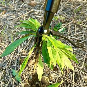 Standing Weeder Manual Root Remover Detachable Garden <b>Weeding</b> <b>Tool</b> Lawn Grass Puller Dirt <b>Removal</b> Hand Weeder for Yard Farm - Product Image 4