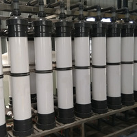 Module de membrane UF en PVDF de type colonne OEM personnalisé, fibre creuse 4/8/10 pouces 5000 L/heure pour équipement de traitement de l'eau potable