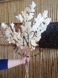 يونان الجملة المحفوظة الطبيعي 23in الكستناء أوراق الجافة الزفاف الديكور زهور مجففة الزفاف الذهب أوراق Salal يترك - Product Image 5