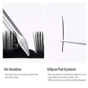 GLAMLASH Individual Nature Flat Ellipse Eyelashes Soft Split-Tips Faux Eyelash Extension Supplies - Product Image 4