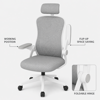 Silla Ergonómica de Malla para Computadora, para Estudiantes de Secundaria, Oficina en Casa, Giratoria, Altura Ajustable, para Sala de Estar, Hotel, Comercial