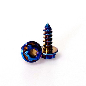 Oem tête de bride hexagonale arc-en-ciel <span class=keywords><strong>m4</strong></span> m5 * 15/18/20 m6 GR5 ti6al4v moto titane auto-<span class=keywords><strong>taraudage</strong></span> auto-perçage vis boulon - Product Image 2