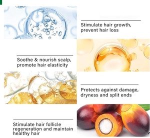 Logo Tư Nhân 100% Tự Nhiên Elixir Batana Thầu Dầu Hương Thảo Chăm Sóc Tóc Công Thức Nuôi Dưỡng Da Đầu Điều Trị Rụng Tóc Tăng Trưởng Dầu Huyết Thanh - Product Image 4