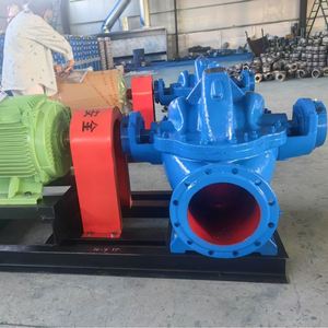 Bomba de Agua Centrífuga de Gran Caudal y Doble Succión, Tipo Hierro Fundido, Acero Inoxidable, para Riego Agrícola, OEM - Product Image 4