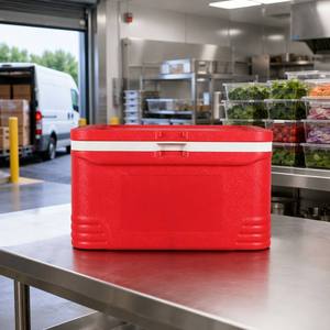 Glacière de camping extérieure 48L légère, durable, portable, avec isolation thermique EPS/PU et coins anti-collision pour aliments et canettes, usage domestique - Product Image 1