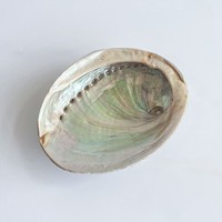 T-255 en gros 10-12 cm coquilles d'ormeau de conque naturelle pour brûler conteneur créatif décoration de la maison articles et ornements