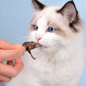 Snacks lyophilisés personnalisés pour animaux de compagnie Vente en gros Granulés de caille lyophilisés Snack lyophilisé pour chat Nourriture pour chien - Product Image 1