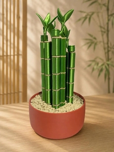 Set di 4 supporti e spintori per Mahjong americano – Porta-tessere ispirati al bambù - Product Image 3
