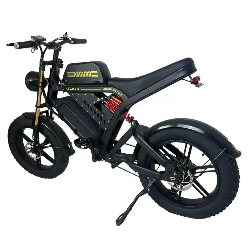 Low price two-wheeled electric vehicle 800W lithium battery electric motorcycle for adult 20inch Off-Road Motorcycles