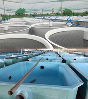Bassin à poissons en PRV, bassin à carpes koï en PRV pour l'aquaculture, utilisation extérieure, grand bassin à poissons FRPKoi pour l'élevage et la décoration