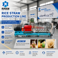 Machine automatique de fabrication de pailles biodégradables à haute capacité à partir de farine de riz, équipement d'extrusion alimentaire, ligne de production de pailles de riz