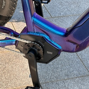 Trikes électriques professionnels pour adultes avec moteur à batterie au lithium centrale 48v <span class=keywords><strong>Shimano</strong></span> <span class=keywords><strong>Nexus</strong></span> <span class=keywords><strong>7</strong></span> vitesses - Product Image 3