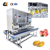 Machine industrielle à peler les mangues, machine à peler les fruits, machine à peler les ananas, équipement de pelage et de découpe des mangues