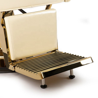 Chaise de Salon de Coiffure Hydraulique Dorée pour Coiffeur - Mobilier de Salon
