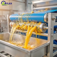 Automatische industriële sappersmachine voor geperste appel, peer, ananas, guave; geschikt voor sap- en drankenproductiefabrieken