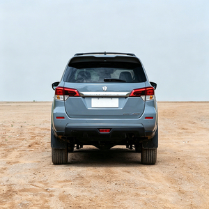 Vendita all'Ingrosso di SUV a Benzina Paladin 4x4 2.0T, Auto di Medie Dimensioni ad Alta Potenza - Product Image 3