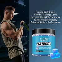 Gummies de créatine monohydrate saveur myrtille OEM pour augmenter la force et développer les muscles