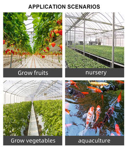 Nuovo Sistema Intelligente di Coltivazione Idroponica, Serra Prefabbricata Agricola con Film per Semi di <span class=keywords><strong>Pomodoro</strong></span> - Product Image 2
