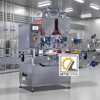 Machine de remplissage automatique de mayonnaise MTW avec pompe à rotor et mélangeur chauffant pour sauces épaisses, purée de tomates et miel