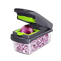 OEM/ODM Handmatige Multifunctionele 15-delige Handheld Groentehakker Uiensnijder Aardappelschiller RVS Keuken Fruit