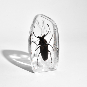 Nieuwste Ontworpen Gletsjerhars Moderne Ambor Presse-Papier Echt Insect Ingekapseld In Door De Mens Gemaakte Amber Eeuwige Kunstwerkgeschenk - Product Image 5
