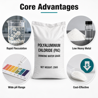 Chlorure de polyaluminium de qualité potable, poudre blanche PAC 30% Coagulant d'alumine