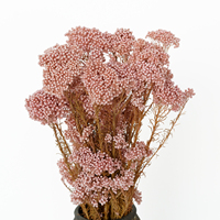 Offre Spéciale : Bouquet de Fleurs de Millet Naturelles Séchées et Préservées Longue Durée pour Décoration Maison, Mariage, Noël, Pâques - Caiyun