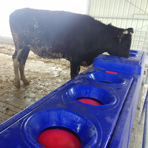 Scaldabagno per bestiame, Serbatoio d'acqua calda, <span class=keywords><strong>Abbeveratoio</strong></span> per cavalli - Product Image 5