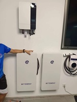 بطارية ليثيوم أيون للطاقة الشمسية YANGLIN ELECUBE-10K-2 ذكية 48 فولت 10 كيلوواط ساعة مثبتة على الحائط للمنزل مع ضمان لمدة 5 سنوات