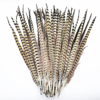 Plume de faisan commun pour la décoration de chapeaux pour femmes et de chapeaux de cowboy, la confection de mouches de pêche à la mouche, la fabrication de chapeaux, la fabrication de bijoux, les costumes, la décoration intérieure