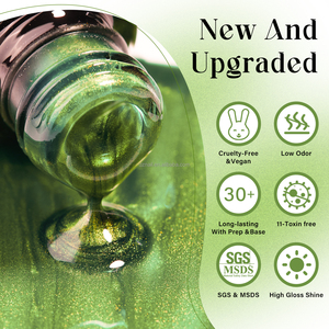 DZ NUOVO Gel per Unghie Aurora Cat Eye Senza Hema e Tpo, Smalto Gel UV LED Magnetico Soak Off per Saloni o Vendita <span class=keywords><strong>Online</strong></span> - Product Image 2