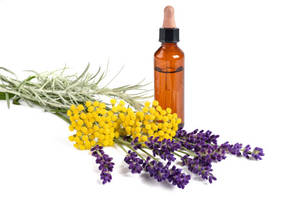 Aceite de <span class=keywords><strong>Immortelle</strong></span> Orgánico, Aceite Eterno, Aceite Esencial de Helichrysum Italicum Natural para el Cuidado de la Piel - Product Image 3