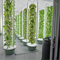 Système de Tour Hydroponique Verticale Polyvalent, Conçu pour la Culture de Légumes, d'Herbes Aromatiques et de Petits Fruits