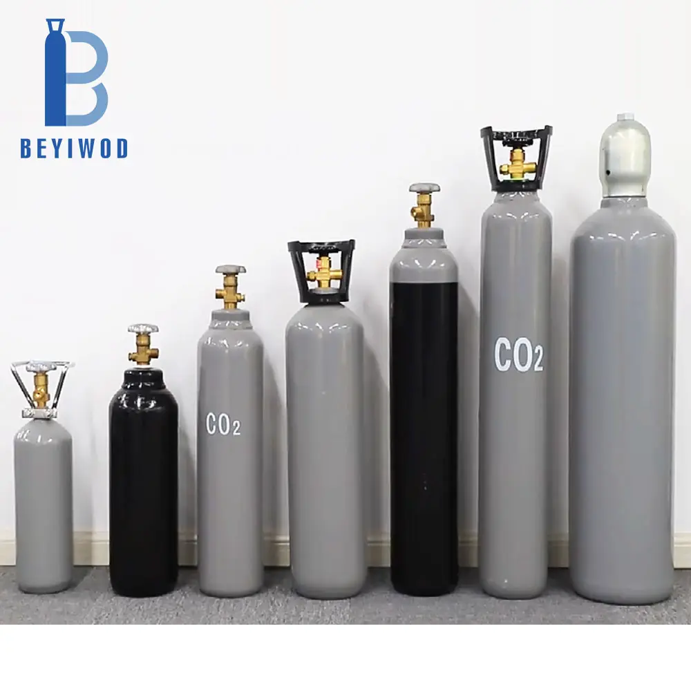 BEYIWOD 2L 5L 8L 10L 15L 20L 40L 50L 68L стальная бутылка углекислого газа Co2 баллон для аквариума, напитков, огнетушитель