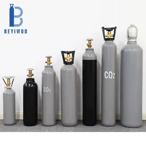 Beyiwod 2L 5L 8L 10L 15L 20L 40L 50L 68L Staal Kooldioxide Fles Co2 Gas Tank Cilinder Voor Aquarium drank Vuur Doven