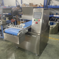 Machine de remplissage automatique de biscuits de petits gâteaux pour le dépôt de gâteau d'éponge