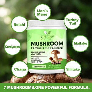 Complément Alimentaire en Poudre de Champignons Personnalisable OEM avec Extrait de Corps Fruité de Crinière de <span class=keywords><strong>Lion</strong></span> pour Soutenir la Santé Immunitaire - Product Image 4